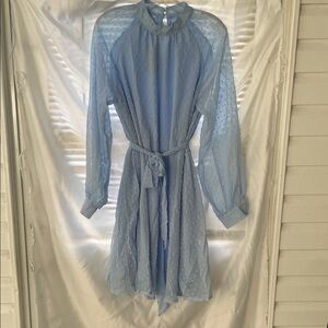 Light Blue Sheer Dotted Swiss Dress